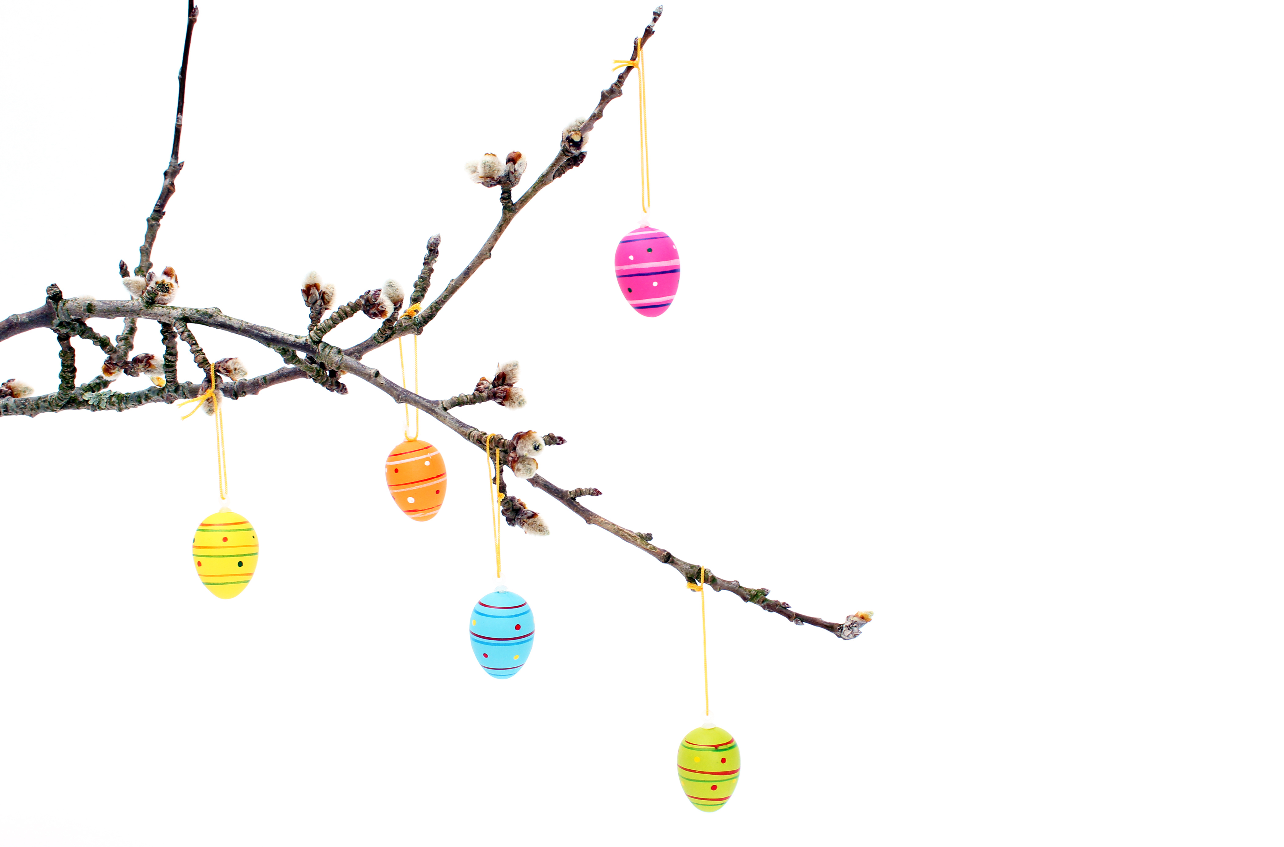 Große Obstbox Regio-Exotik - Frohe Ostern
